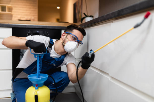 Best Wildlife Control Services  in Scottsville, NY