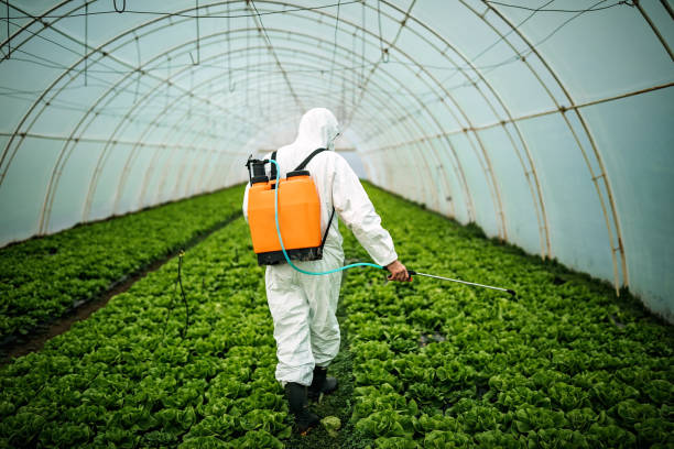 Trusted Scottsville, NY Pest Control Experts