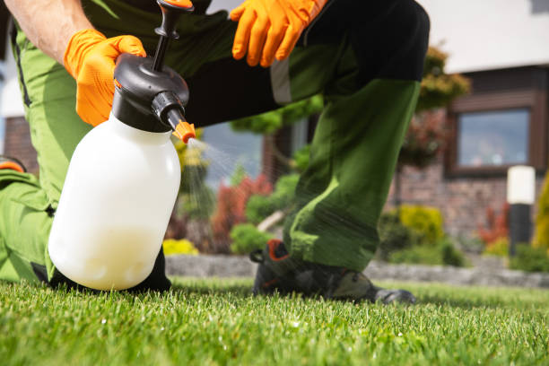 Best Affordable Pest Control Services  in Scottsville, NY