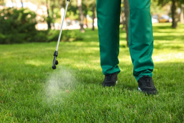 Best Termite Control Services  in Scottsville, NY