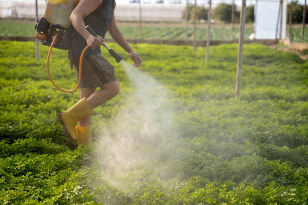 Best Commercial Pest Control Services  in Scottsville, NY
