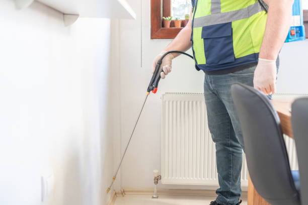 Best Rat Extermination Near Me  in Scottsville, NY