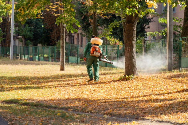 Best Cockroach Control Services  in Scottsville, NY