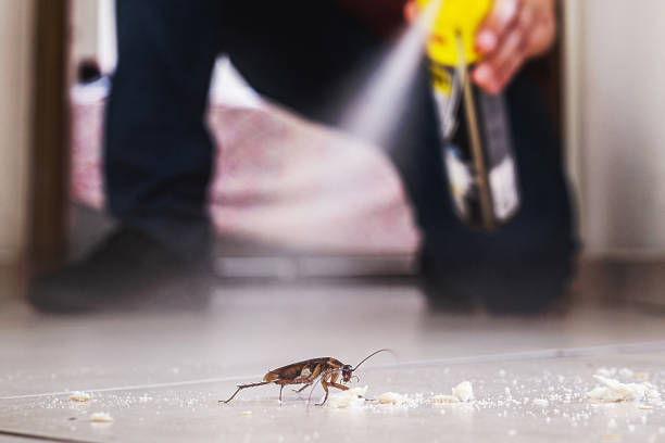 Best Residential Pest Control  in Scottsville, NY