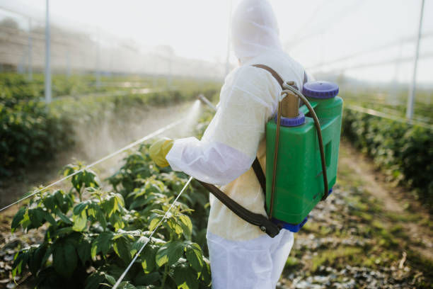 Best Mosquito Control Services  in Scottsville, NY
